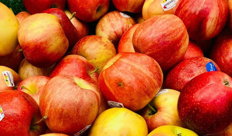 Two apples on empty stomach may support liver health read more